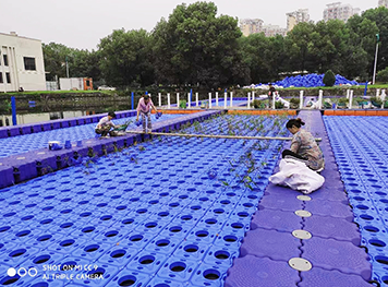 水上养殖 